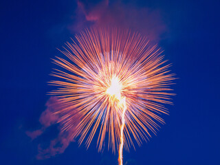 Fireworks in the Night Sky