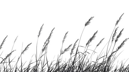 grass transparent background png