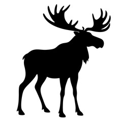 Fototapeta premium Black Silhouette of Majestic Moose Standing with Giant Antlers Raised High on White Background
