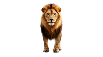 Obraz premium lion transparent background png