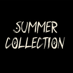 Vector text illustrations for Summer Collection.