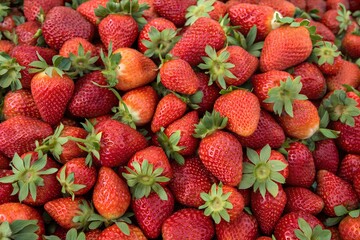 fresh strawberry background 