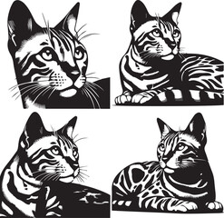 Bengal cat vector in black and white