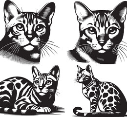 Bengal cat vector in black and white
