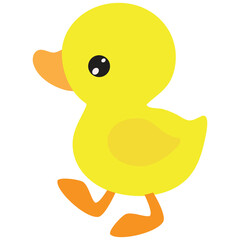 Cute little  duckling  vector cartoon illustration