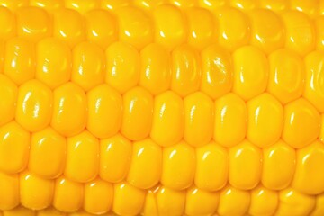 close up of corn. corn background 