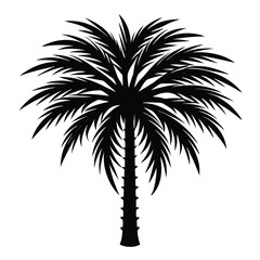 Obraz premium palm tree silhouette