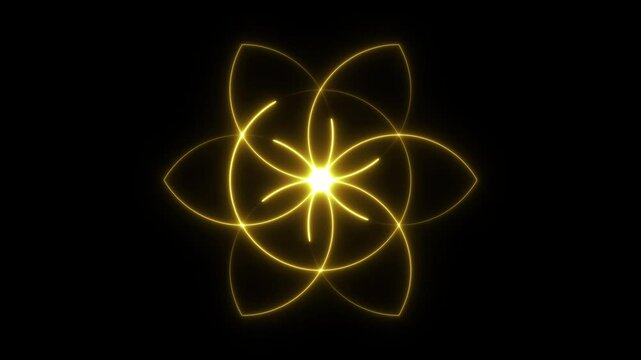 Geometric gold floral icon symbol. Line art. Flower circle and element. Curved lines. Isolated on black. For pattern, logo, decoration. Animated neon lines. Outline style. Linear flower tile.
