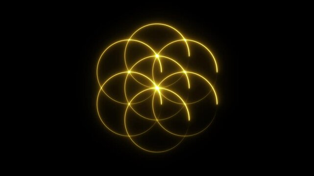 Geometric gold floral icon symbol. Line art. Flower circle and element. Curved lines. Isolated on black. For pattern, logo, decoration. Animated neon lines. Outline style. Linear flower tile.
