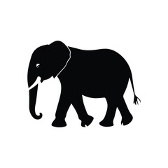 Fototapeta premium Simple Silhouette of an Elephant Walking