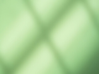 Green background abstract shadow light white on wall floor frame for presentation product organic natural nature, blur beige backdrop platform fashion aroma spa, eocsystem change environment.