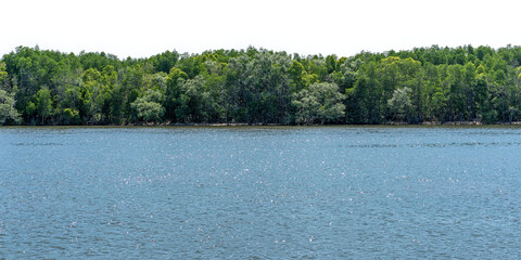 Tranquil river scene with lush green forest backdrop, no background.