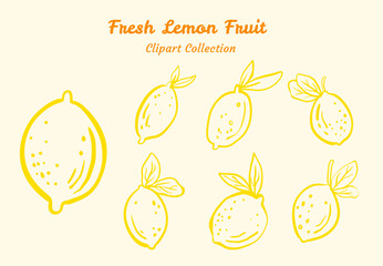 Organic Lemon Clipart Set Hand Drawn Botanical Commercial Use Graphics Organic Lemon Clipart Set Perfect for Hand Drawn Botanical Commercial Use Graphics