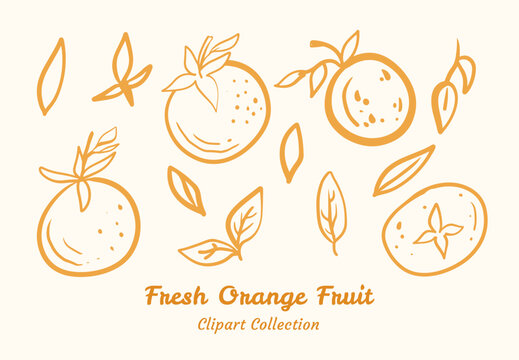Juicy Orange Graphics Collection Modern Minimalist Style Food Illustration Bundle Juicy Orange Graphics Collection  Perfect for Modern Minimalist Food Illustration Bundle