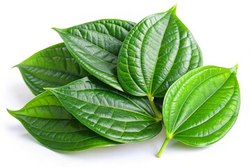 Obraz premium Fresh Betel Leaf for Celebrations on White Background