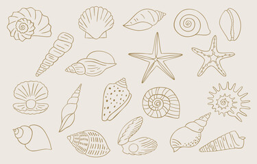 seashell outline icon with boho style
