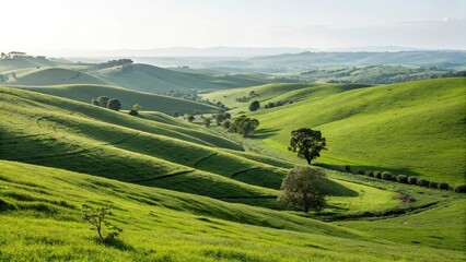 Serene Rolling Green Hills Bathed In Soft Sunlight, A Tranquil Pastoral Landscape Unfolding Under A Vast Sky