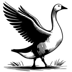 Swan sketch silhouette