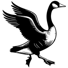 Swan sketch silhouette