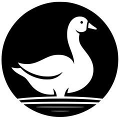 Silhouette of a swan