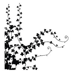 Naklejka premium Ivy climbing a wall Silhouette, Vector, Icon, Logo, White Background.