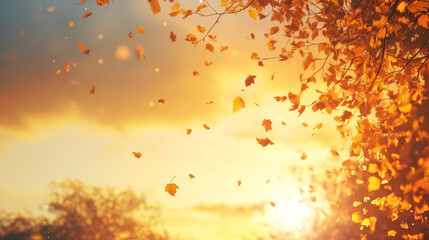 beautiful autumn scene with falling leaves against warm sunset sky