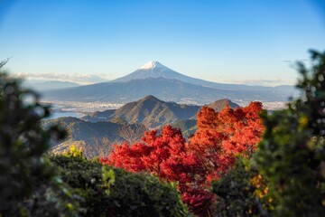 雪が積もった富士山の絶景