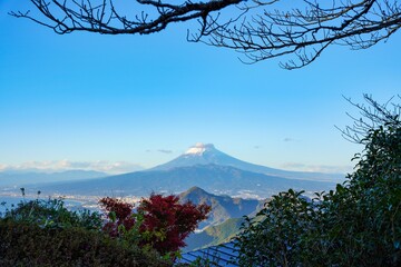 雪が積もった富士山の絶景