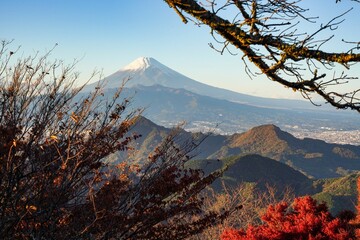 雪が積もった富士山の絶景