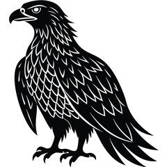 Eagle silhouettes set, large pack of vector silhouette design, isolated white background