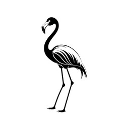 Obraz premium vector illustration of a flamingo