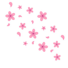 Fototapeta premium Cherry Blossom Petals