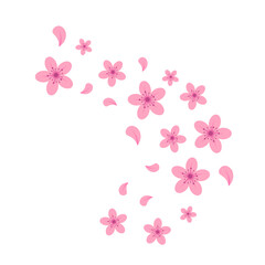 Cherry Blossom Petals