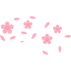 Cherry Blossom Petals