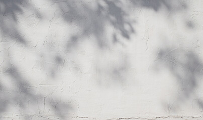 White plaster wall background with lights and shadows of leaf.