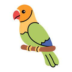 Colorful Tropical Bird