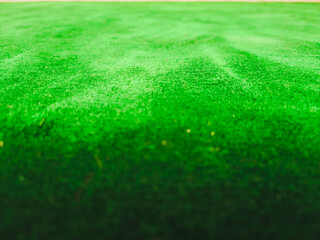 Close-up of a green prayer mat on the mosque.