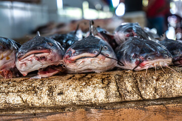 Fish and food market, Mercado Municipal at Soure in the Marajo Island at Para, Brazil