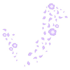 Cherry Blossom Petals