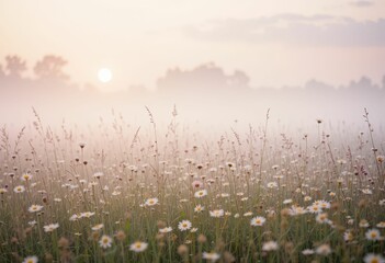 Naklejka premium Serene Sunrise Over Dewy Wildflower Meadow in Soft Morning Fog