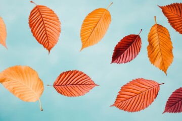 Fototapeta premium Autumn Leaves, Floating on Teal Background, Nature, Flat Lay