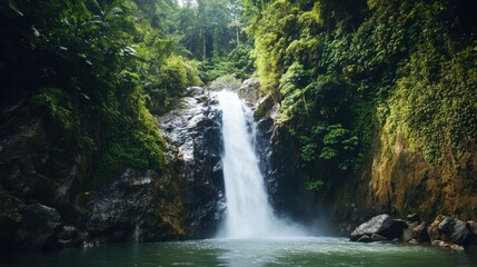 Fototapeta premium A tropical waterfall in rainforest.