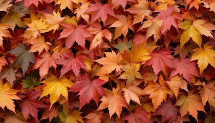 Vibrant autumn leaves represent the beauty of seasonal changes and transitions.
