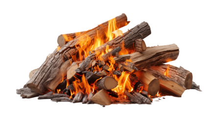 Crackling Campfire Flames Burning Brightly with Wood Logs