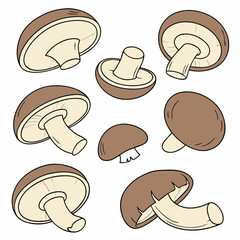 Illustration of shiitake mushrooms in varying sizes and perspectives, isolated