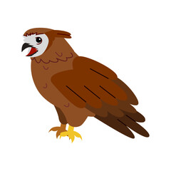 Animal illustration