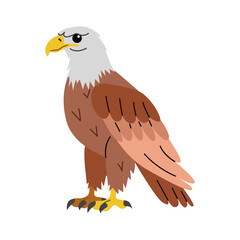 Animal illustration