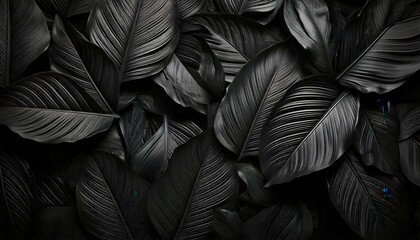 Fototapeta premium Dark Tropical Leaf Texture with Abstract Black Leaves – Flat Lay