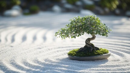 A tranquil bonsai in a zen garden.