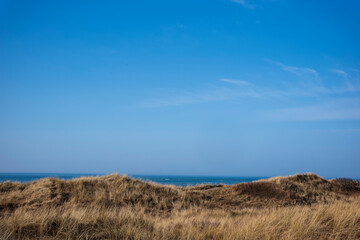 sand dunes on the beach